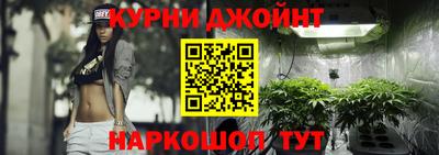 крисы Ливны