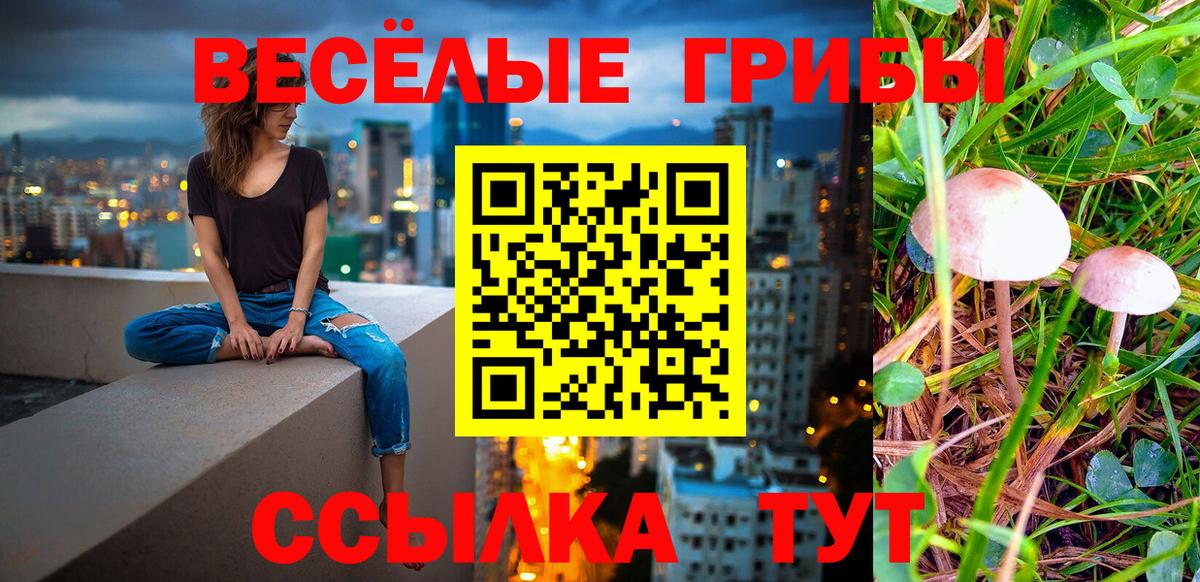Галлюциногенные грибы GOLDEN TEACHER Зима