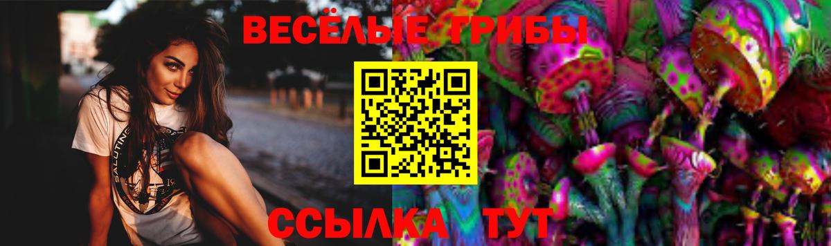 Псилоцибиновые грибы прущие грибы  Вход с VPN  Зима 