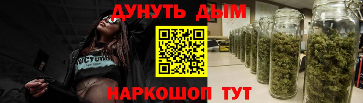 МАРИХУАНА сатива Зима